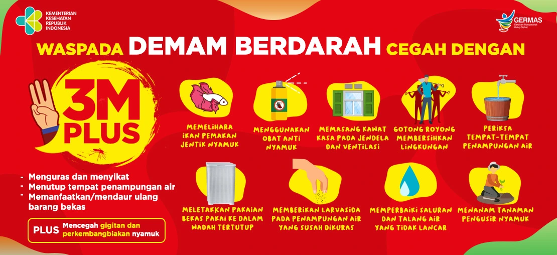 Waspada Siklus DBD di Musim Pancaroba: Terapkan Gerakan 3M Plus!